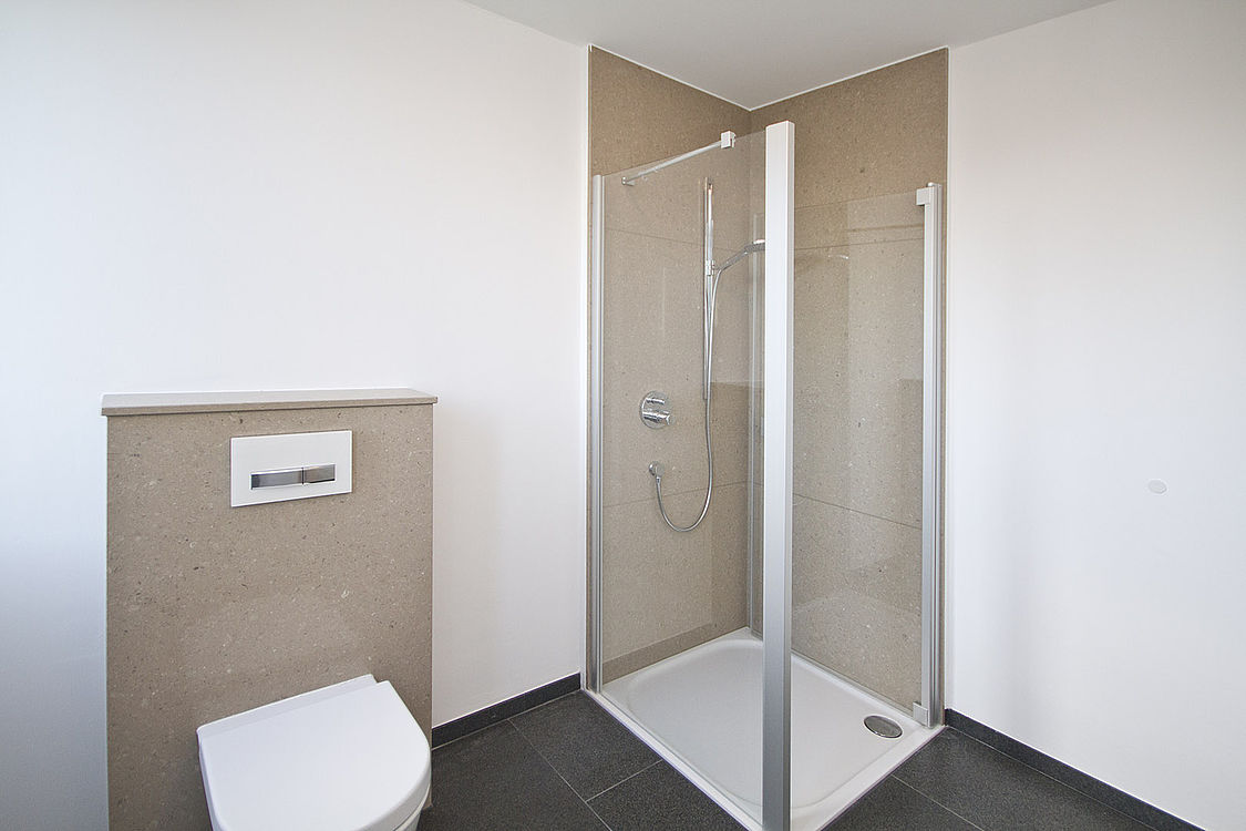 Caesarstone 4230 Shitake / Impala Scuro Badezimmer — Perspektive